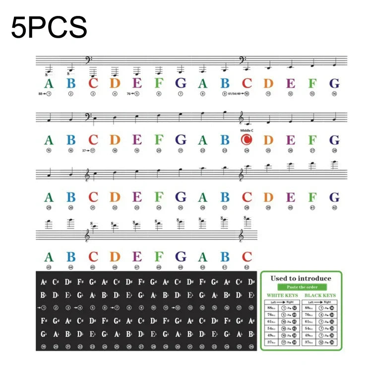 Lot de 5 autocollants de couleur pour clavier de piano enfant, accessoires pour instruments de musique, QT-005, QT-005-A, QT-0302