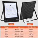 Projecteur LED RVB Coloré avec Télécommande, 30W, 100W