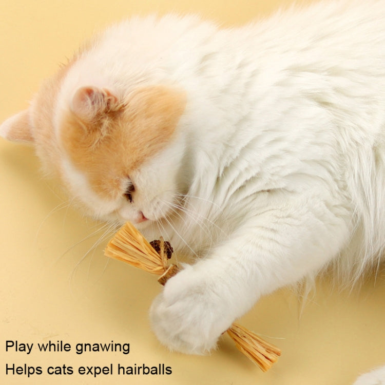 Jouet bâton de dentition pour chat, nettoie les dents, bâton d'herbe à chat, 5 pièces Lafite, 5 pièces plumes noires, 5 pièces plumes jaunes