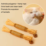 Jouet bâton de dentition pour chat, nettoie les dents, bâton d'herbe à chat, 5 pièces Lafite, 5 pièces plumes noires, 5 pièces plumes jaunes