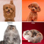 Ciseaux de toilettage pour animaux de compagnie pour chien et chat, outils de coupe de poils, Style : ciseaux droits, ciseaux à dents