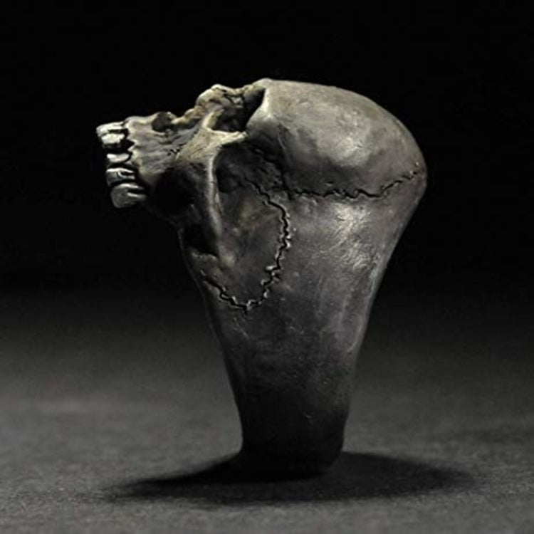 C56213 2 bagues punk crâne vintage bague crâne horreur cadeau homme, 12, 13, 14