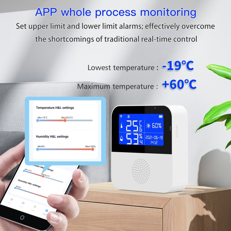 Capteur de Température et d'Humidité WIFI Tuya avec Écran LCD 2,9 pouces, Spécifications : Capteur Seul, Avec Fil de Détection