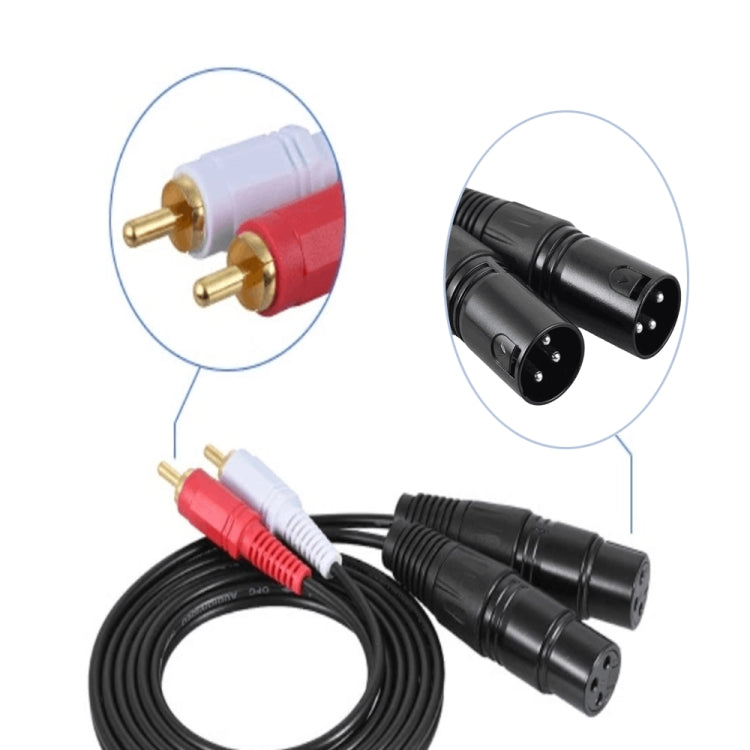 Câble Audio Équilibré 2RCA vers 2XLR Canon pour Haut-Parleur, 0,5m, 1m, 1,5m, 3m