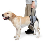Sangle auxiliaire pour pattes arrière de chien, ceinture de voyage auxiliaire de décompression pour chiens âgés et blessés, S, M, L