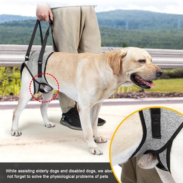 Sangle auxiliaire pour pattes arrière de chien, ceinture de voyage auxiliaire de décompression pour chiens âgés et blessés, S, M, L