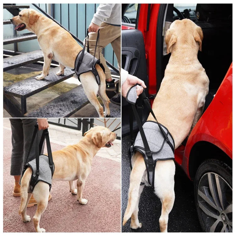 Sangle auxiliaire pour pattes arrière de chien, ceinture de voyage auxiliaire de décompression pour chiens âgés et blessés, S, M, L