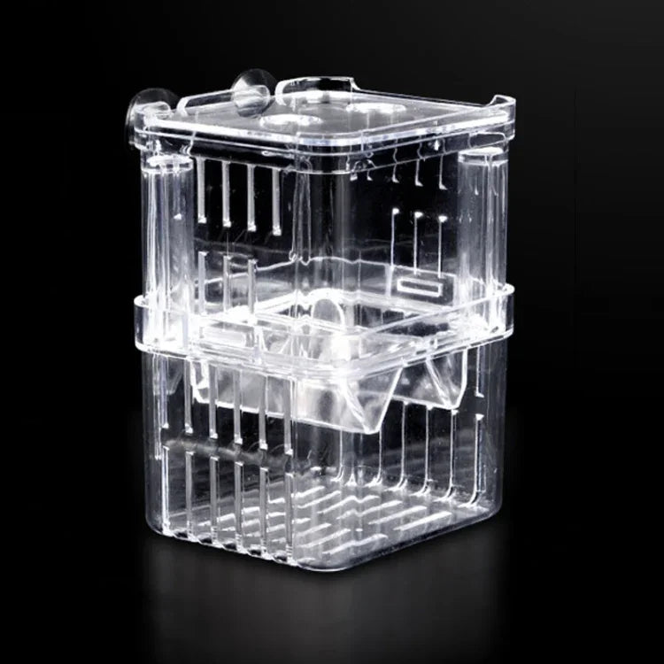 Boîte d'isolation transparente à double couche pour élevage de poissons Paon, Petite, Grande, Très grande