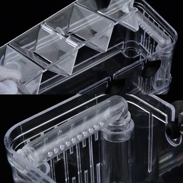 Boîte d'isolation transparente à double couche pour élevage de poissons Paon, Petite, Grande, Très grande