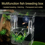 Boîte d'isolation transparente à double couche pour élevage de poissons Paon, Petite, Grande, Très grande