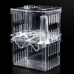 Boîte d'isolation transparente à double couche pour élevage de poissons Paon, Petite, Grande, Très grande