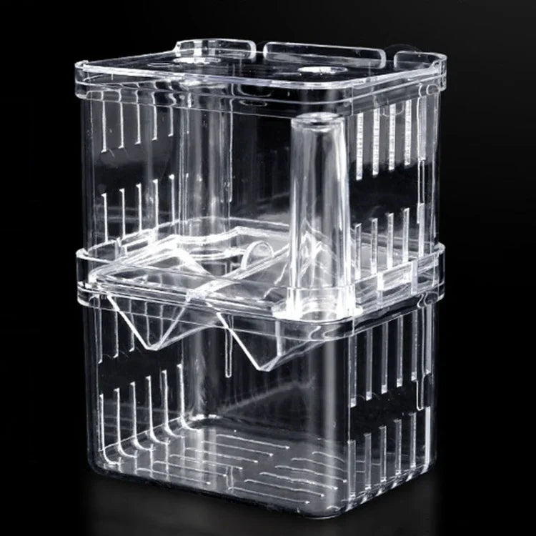 Boîte d'isolation transparente à double couche pour élevage de poissons Paon, Petite, Grande, Très grande