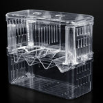 Boîte d'isolation transparente à double couche pour élevage de poissons Paon, Petite, Grande, Très grande
