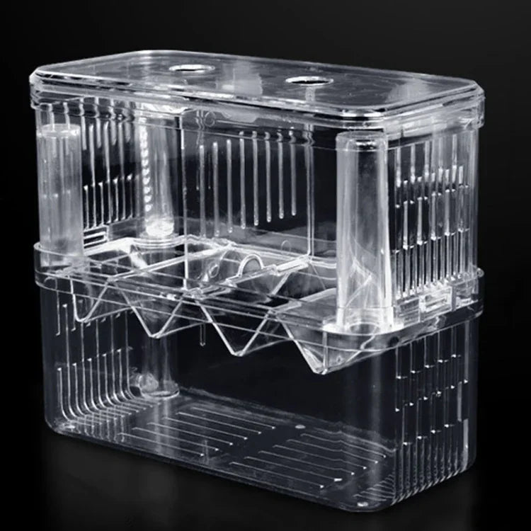 Boîte d'isolation transparente à double couche pour élevage de poissons Paon, Petite, Grande, Très grande