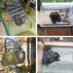 Plateforme d'escalade pour aquascape tortue, cachette pour reptile, plateforme tortue à trois pieds, Petite, Grande