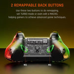 Manette de jeu filaire RVB pour PC/Switch, BIGBIGWON C1 S