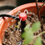 FH-118 Goutteur réglable de 13 cm avec 8 trous, piquet de sol pour système d'irrigation de jardin, chapeau rouge, chapeau noir