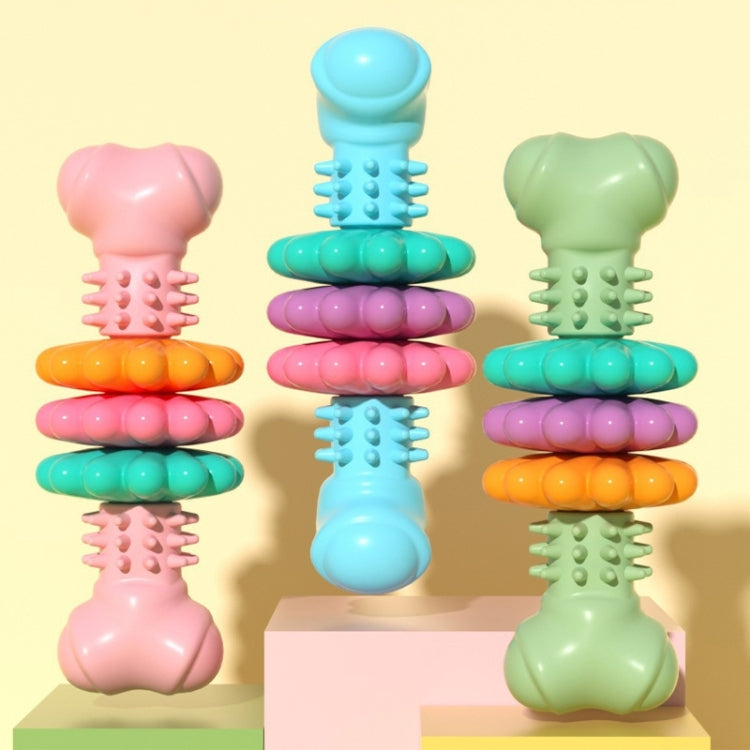 Jouets à mâcher pour animaux de compagnie BG5056 en TPR en forme d'os, bâtonnets de dentition pour chien, BG5056 (Vert), BG5056 (Bleu), BG5056 (Rose)