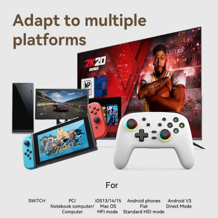 Manette de jeu sans fil Bluetooth à vibrations somatosensorielles pour Nintendo Switch/Switch Pro, Noir et or, Blanc et vert, Noir, Blanc