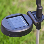 2 ensembles de lumières solaires lucioles de Noël pour jardin extérieur étanches, 6 têtes lumière chaude, 6 têtes lumière colorée, 8 têtes lumière chaude, 8 têtes lumière colorée, 10 têtes lumière chaude, 10 têtes lumière colorée