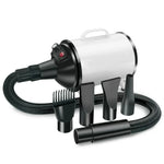 Séchoir pour chien 2100W, vitesse réglable en continu, séchoir à poils pour animaux de compagnie, souffleur d'eau pour animaux, prise britannique 220V, prise européenne 220V, prise australienne 220V, prise américaine 110V