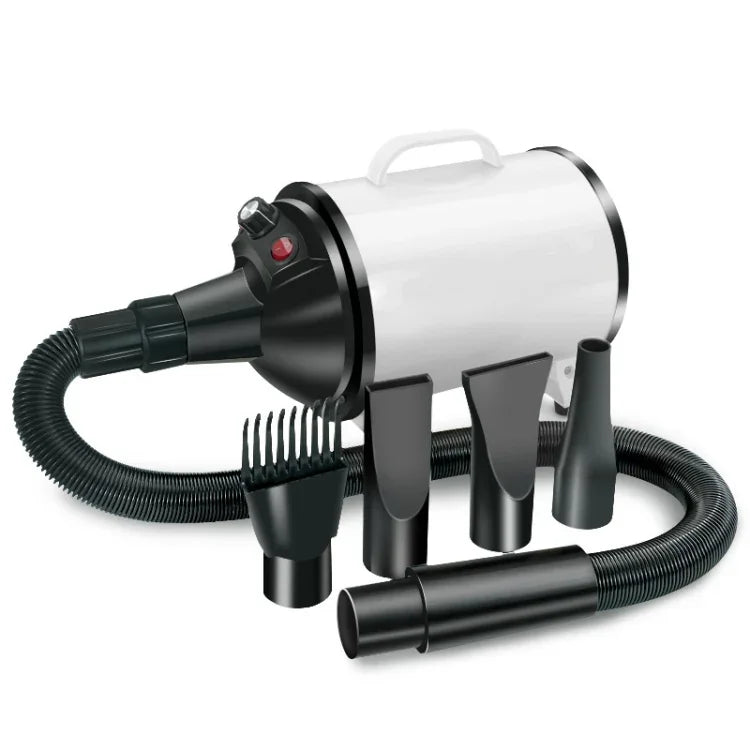 Séchoir pour chien 2100W, vitesse réglable en continu, séchoir à poils pour animaux de compagnie, souffleur d'eau pour animaux, prise britannique 220V, prise européenne 220V, prise australienne 220V, prise américaine 110V