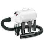 Séchoir pour chien 2100W, vitesse réglable en continu, séchoir à poils pour animaux de compagnie, souffleur d'eau pour animaux, prise britannique 220V, prise européenne 220V, prise australienne 220V, prise américaine 110V