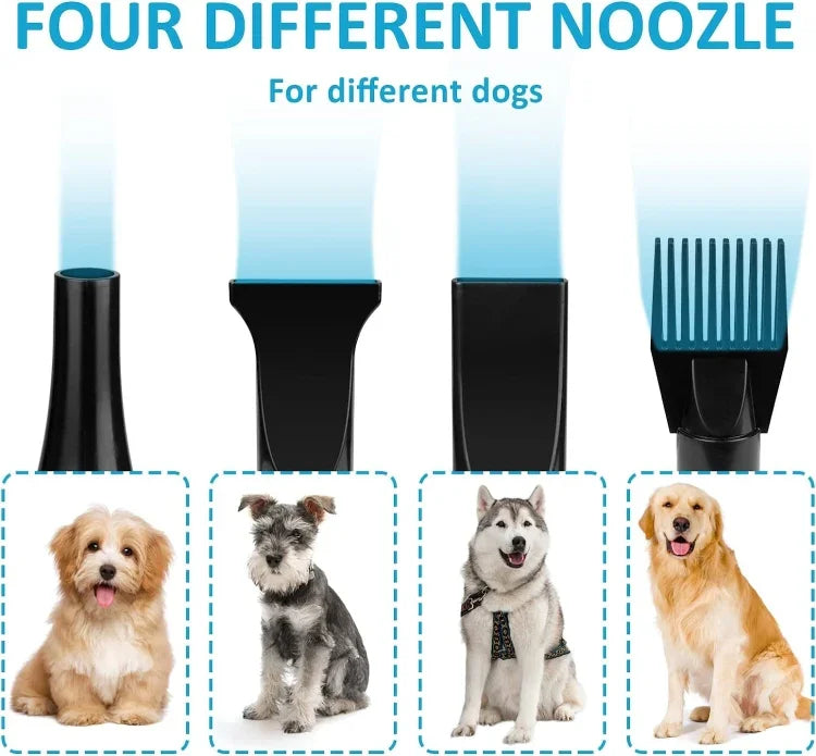 Séchoir pour chien 2100W, vitesse réglable en continu, séchoir à poils pour animaux de compagnie, souffleur d'eau pour animaux, prise britannique 220V, prise européenne 220V, prise australienne 220V, prise américaine 110V