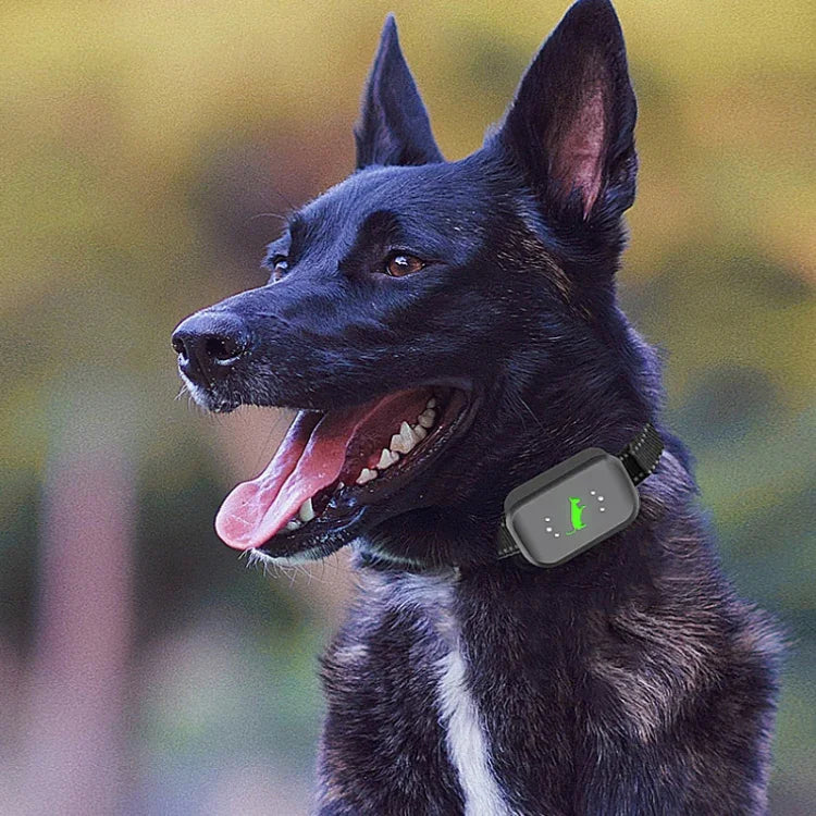 Dresseur de chiens intelligent étanche à décharge électrique, télécommande rechargeable, anti-aboiements