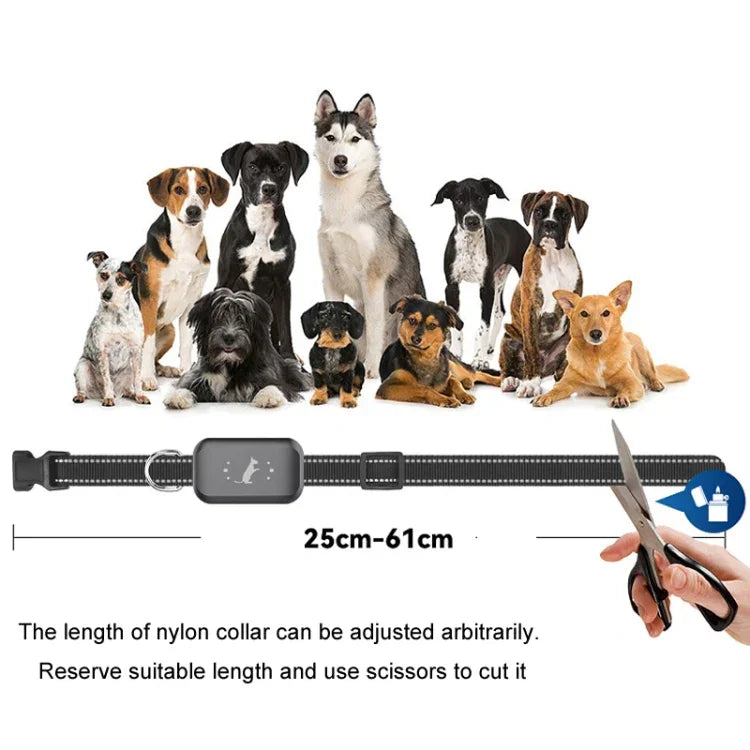Dresseur de chiens intelligent étanche à décharge électrique, télécommande rechargeable, anti-aboiements