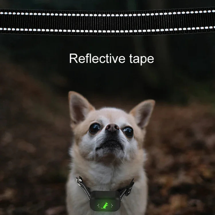 Dresseur de chiens intelligent étanche à décharge électrique, télécommande rechargeable, anti-aboiements