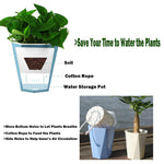 Pot de fleur automatique absorbant l'eau en forme de diamant, pot en plastique pour plante verte, 12cm x 14cm