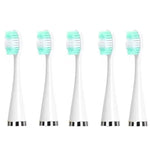 Accessoires pour détartreur dentaire tête de remplacement, blanc basique, blanc exclusif, noir basique, noir exclusif, vert basique, vert exclusif, 5 têtes de brosse à dents blanches, 5 têtes de brosse à dents noires, 5 têtes de brosse à dents vertes
