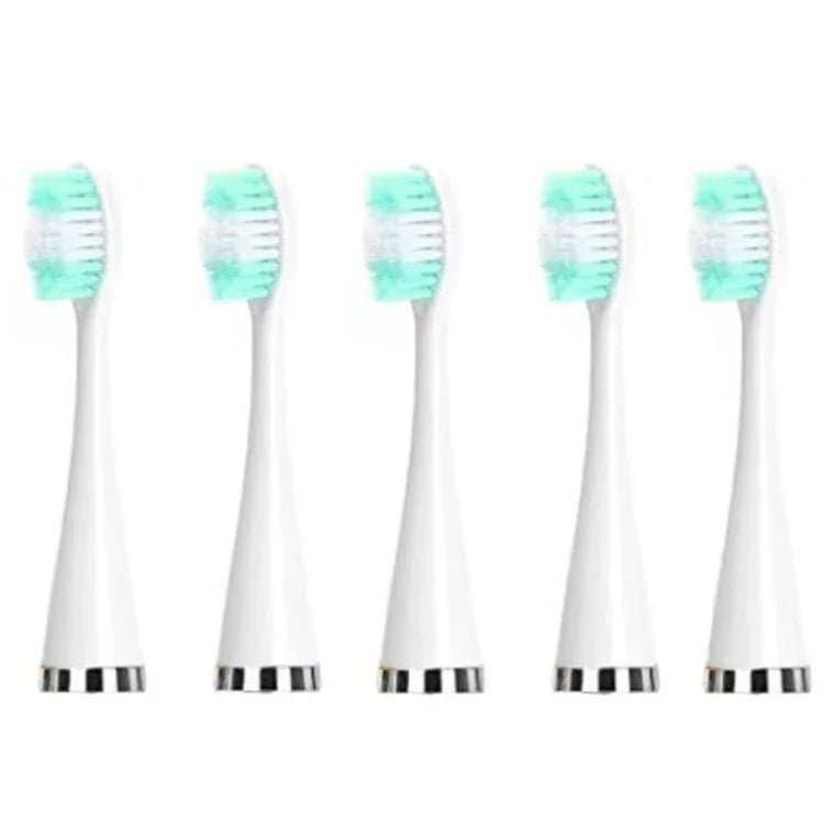 Accessoires pour détartreur dentaire tête de remplacement, blanc basique, blanc exclusif, noir basique, noir exclusif, vert basique, vert exclusif, 5 têtes de brosse à dents blanches, 5 têtes de brosse à dents noires, 5 têtes de brosse à dents vertes