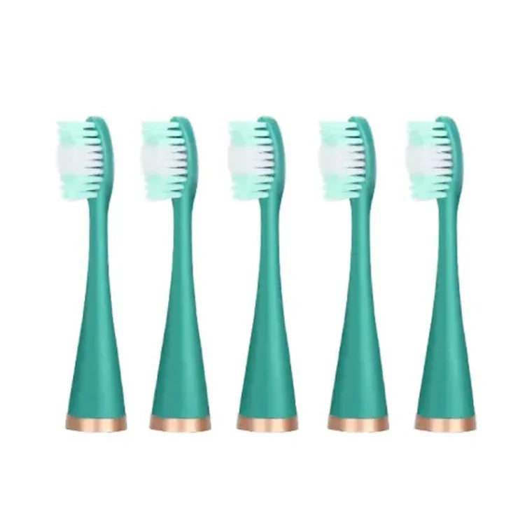 Accessoires pour détartreur dentaire tête de remplacement, blanc basique, blanc exclusif, noir basique, noir exclusif, vert basique, vert exclusif, 5 têtes de brosse à dents blanches, 5 têtes de brosse à dents noires, 5 têtes de brosse à dents vertes
