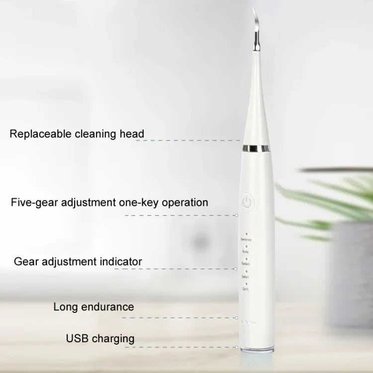 Accessoires pour détartreur dentaire tête de remplacement, blanc basique, blanc exclusif, noir basique, noir exclusif, vert basique, vert exclusif, 5 têtes de brosse à dents blanches, 5 têtes de brosse à dents noires, 5 têtes de brosse à dents vertes