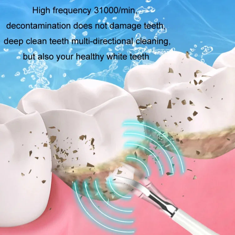 Accessoires pour détartreur dentaire tête de remplacement, blanc basique, blanc exclusif, noir basique, noir exclusif, vert basique, vert exclusif, 5 têtes de brosse à dents blanches, 5 têtes de brosse à dents noires, 5 têtes de brosse à dents vertes