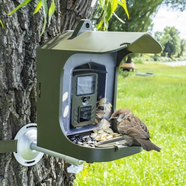 Caméra de piste extérieure BC303 pour mangeoire à oiseaux avec capteur de mouvement