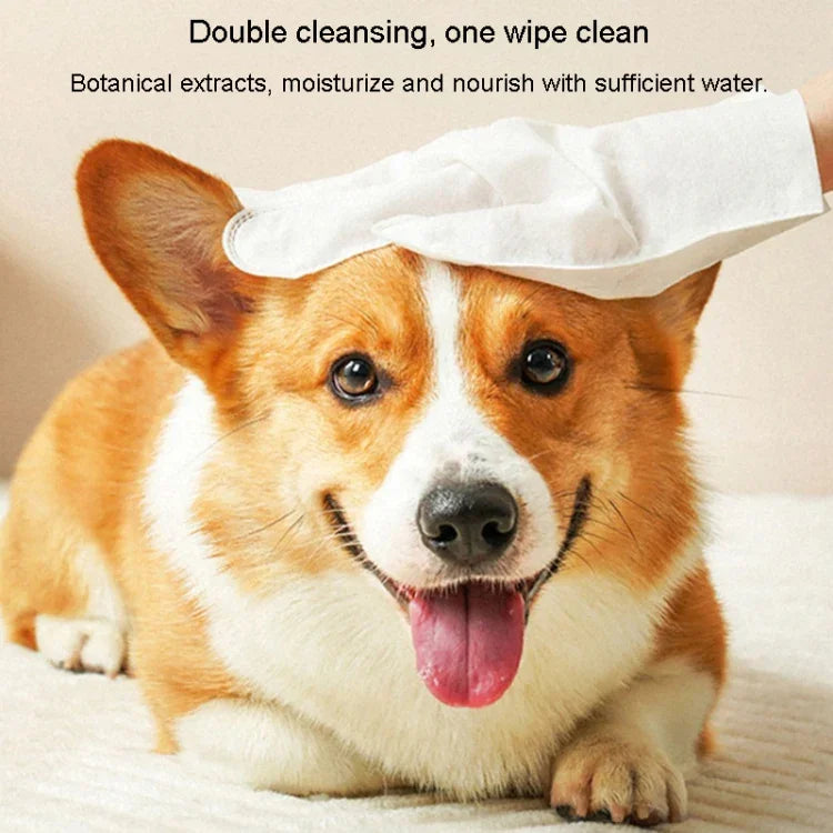 KIMHOME Pet Lingettes Gant de Bain Sans Rinçage pour Chiens et Chats Nettoyage Désodorisant Nettoyage à Sec Fournitures pour Animaux de Compagnie, 6 lingettes/paquet