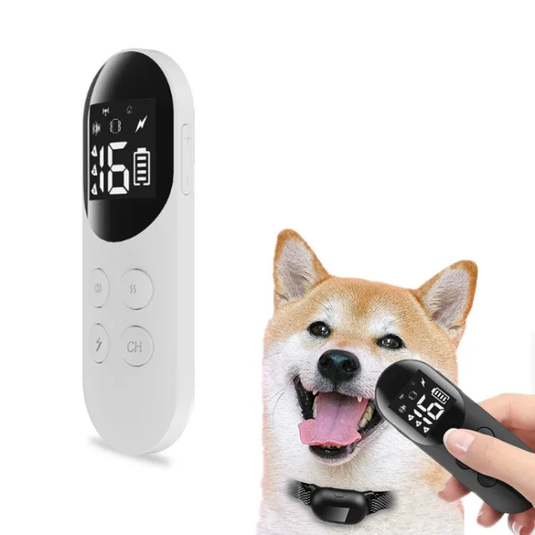Collier de dressage anti-aboiements intelligent pour chien avec télécommande