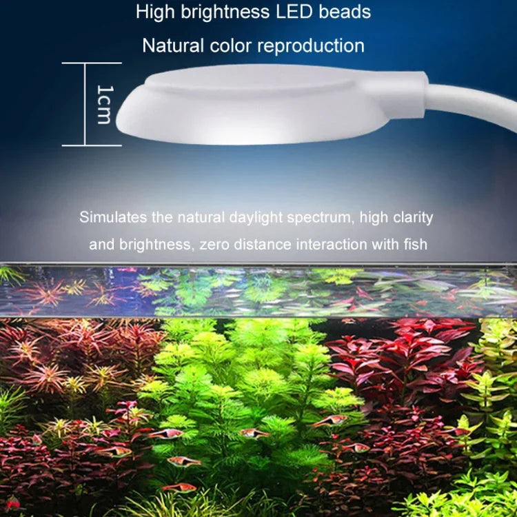 Lampe LED clip 5W pour aquarium, alimentation USB, lampe translucide pour plantes aquatiques