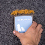 Accessoires pour animaux de compagnie, canapé, tapis, éponge absorbante pour poils