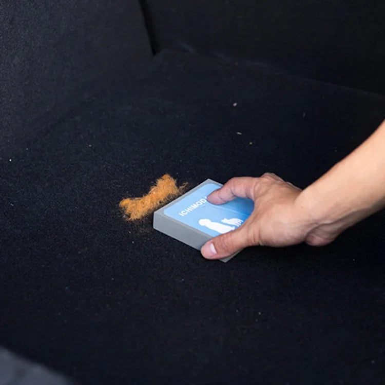 Accessoires pour animaux de compagnie, canapé, tapis, éponge absorbante pour poils