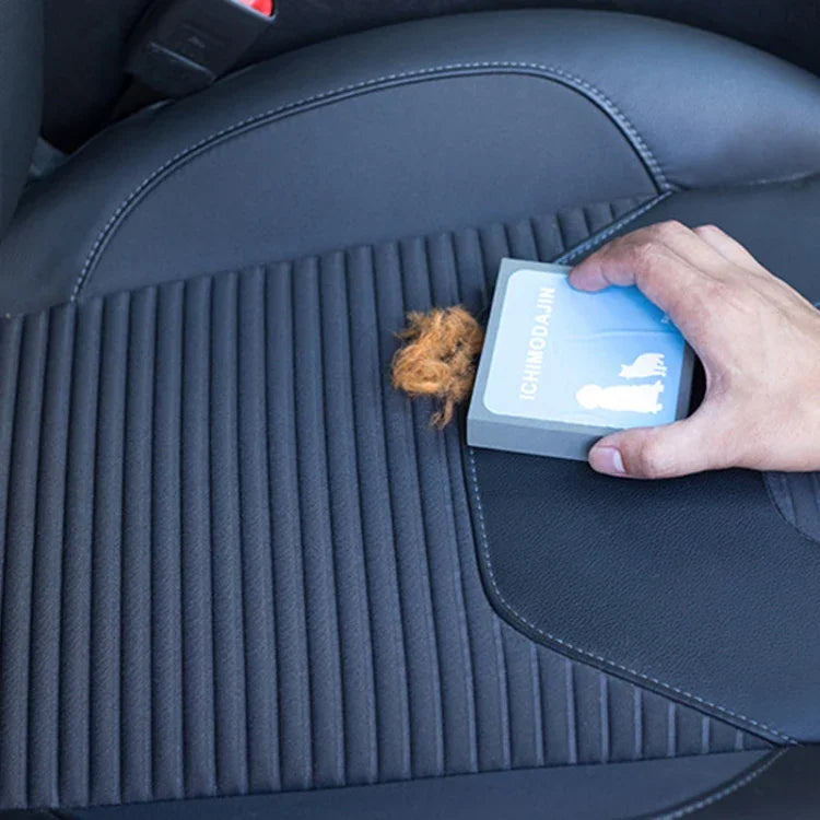 Accessoires pour animaux de compagnie, canapé, tapis, éponge absorbante pour poils