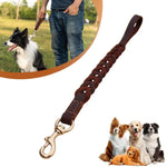 Laisse courte en cuir pour animaux, chaîne de traction pour chien, 1,8x50cm