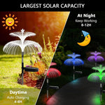 Lampes méduses à fibre optique solaire LED extérieures étanches Décoration de jardin Lumière d'ambiance, étoiles (tube en acier inoxydable), étoiles (tube transparent)