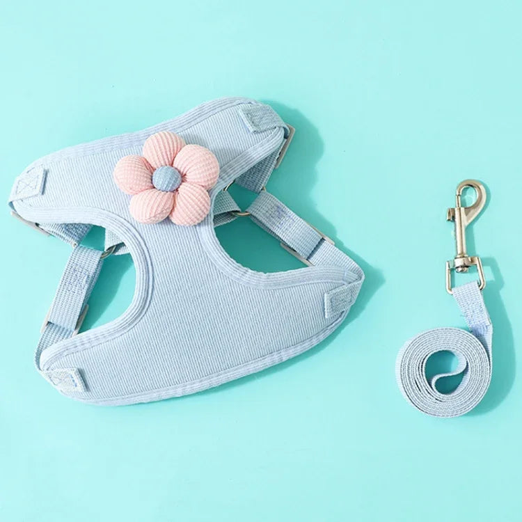 Texte alternatif de l'image