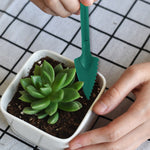 Grand Outil de Retrait de Semis de Jardinage, Planteur en Pot et Semoir pour Pépinière, 2pcs / Set