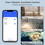 Module d'interrupteur intelligent pour Alexa / Google Home / application Tuya Smart Life, 1CH WiFi, 2CH WiFi, 3CH WiFi, 4CH WiFi, 1CH Zigbee, 2CH Zigbee, 3CH Zigbee, 4CH Zigbee