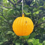 Outdoor Fruit Fly Mosquito Citrus Trap Sticky Ball, Yellow